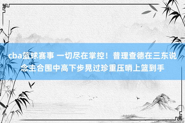 cba篮球赛事 一切尽在掌控！普理查德在三东说念主合围中高下步晃过珍重压哨上篮到手